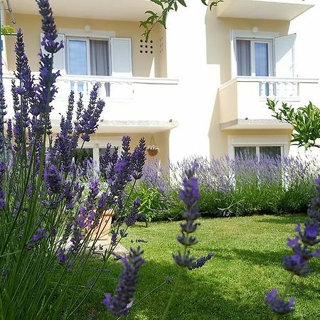 Apartment Branka Banjol エクステリア 写真